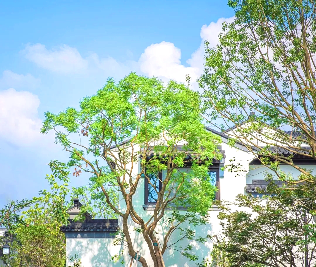 【東方红】仿古断桥铝门窗厂家